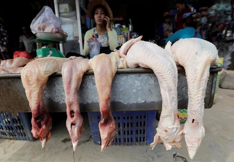 Las autoridades locales han sacrificado 17,828 aves de corral después del brote, que por el momento no ha afectado a ninguna persona. (ARCHIVO)
