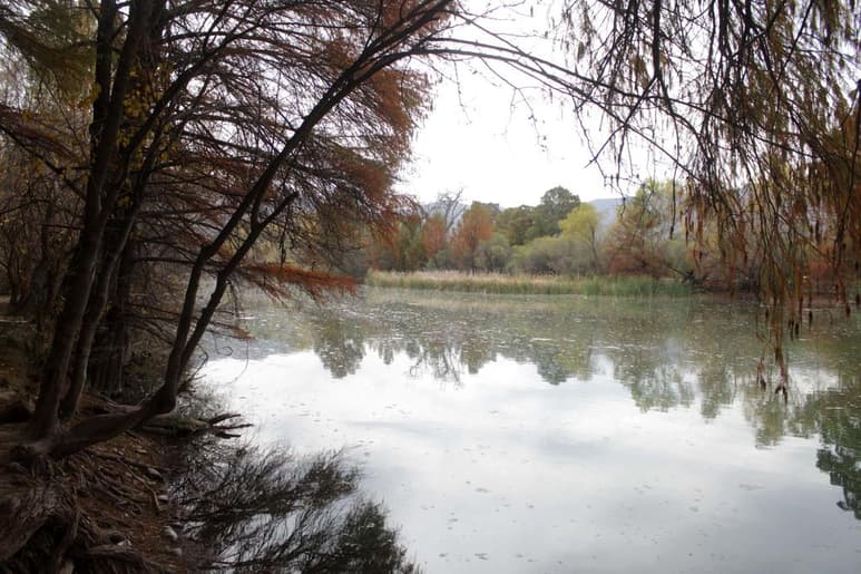 A unos minutos de la zona conurbada de La Laguna, donde todo es desierto y tierras agroindustriales, hay un santuario ecológico, una combinación de humedal, bosque y desierto que cobija y protege a la Comarca Lagunera de Durango y Coahuila. (EL UNIVERSAL)