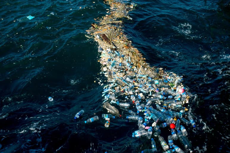Si la industria de bebidas embotelladas aumentara en un 10 por ciento el volumen de la venta de refrescos o agua en recipientes retornables, disminuiría la contaminación anual por envases PET en los océanos. (ARCHIVO)