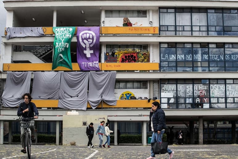 Se estima que las organizaciones están compuestas hasta por mil integrantes , y algunos incluso han recibido 'adiestramiento' de corte 'anarquista' de universidades de Sudamérica. (ARCHIVO)