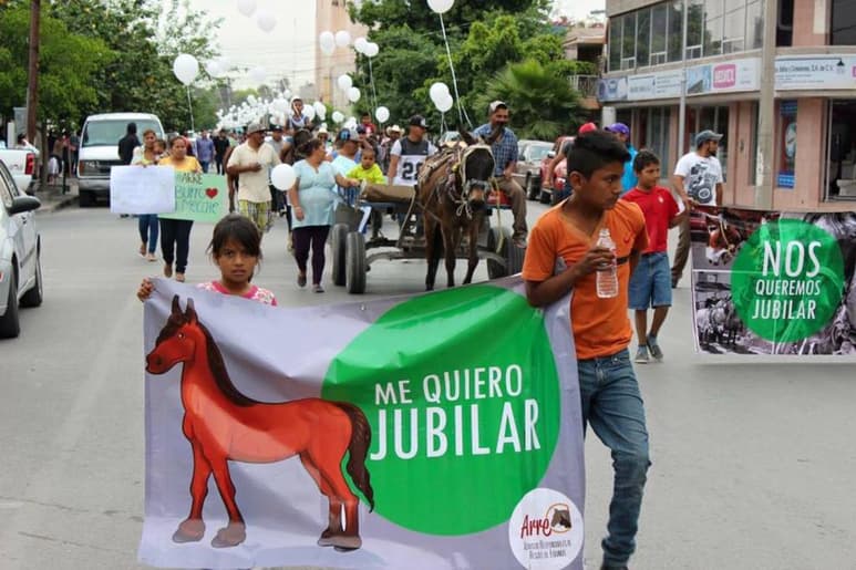 La asociación Arre pretende que se dejen de utilizar a equinos para las labores de recolección y venta de artículos. (EL SIGLO DE TORREÓN)