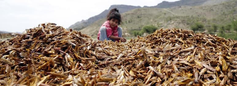 Se han reunido más de 18 millones de dólares en donaciones. (EFE) 