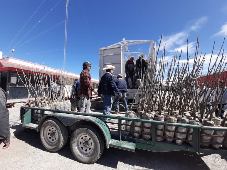 Autoridades recordaron la necesidad de diversificar los cultivos. (EL SIGLO DE TORREÓN)