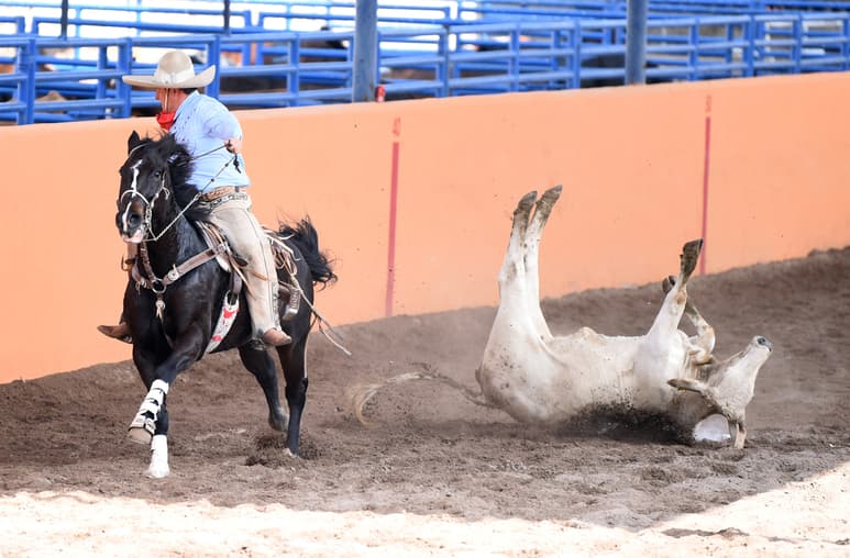 Los señores charros de cada uno de los equipos participantes, realizarán las suertes propias del llamado 'Deporte más mexicano'. (ARCHIVO)