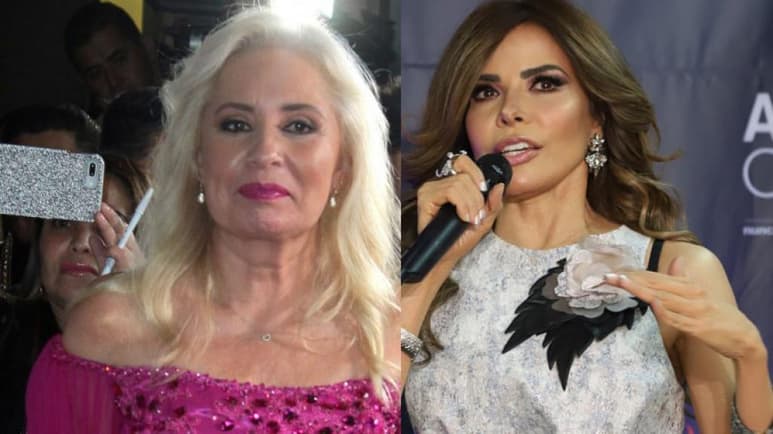 Asegura que la cantante apoya el proyecto. (ESPECIAL)
