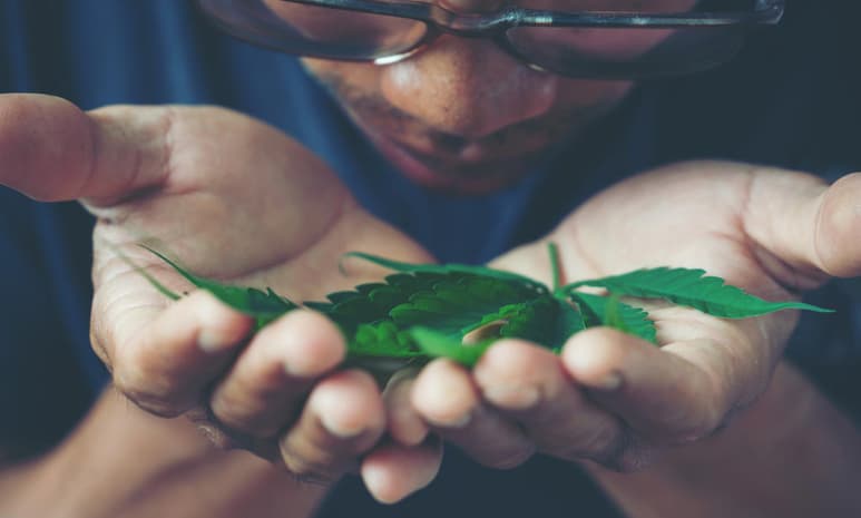 El gobierno de Amsterdam evalúa la posible prohibición al acceso de los turistas a los “coffee shops”, espacios legales donde se vende marihuana. (ARCHIVO)