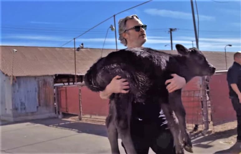 El actor de 45 años visitó un día después de la ceremonia de los premios de la Academia, las instalaciones de un matadero, junto con su novia Rooney Mara y otros activistas de Los Angles Animal Save Gruop. (ESPECIAL)