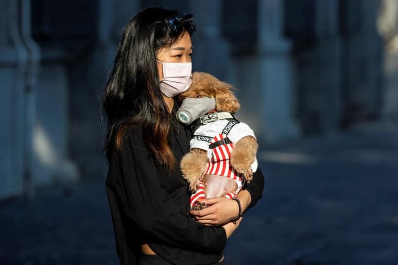 Según la fuente, hasta la pasada medianoche local (16:00 GMT del viernes), se detectaron 5,365 casos sospechosos mientras que 20,659 pacientes se habían recuperado de la enfermedad. (EFE)