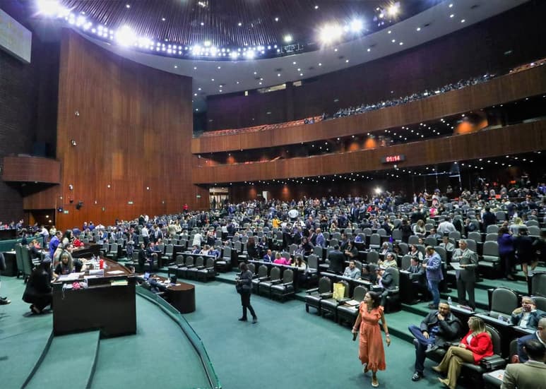 Diputada de Morena expuso que los recursos deberán de salir del que antes era fondo de gastos catastróficos del Fondo de Salud para el bienestar. (ARCHIVO)