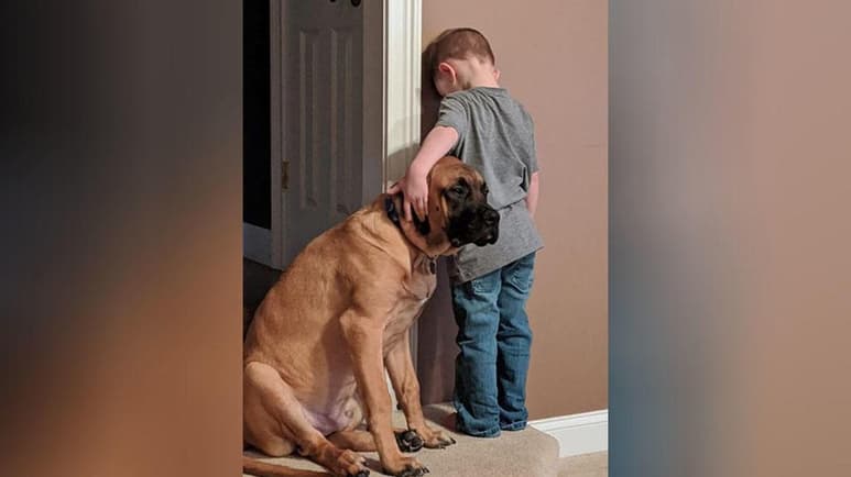 Un bello momento que la madre del niño captó en imagen. (INTERNET)