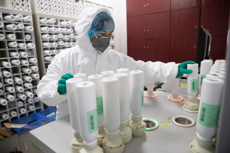 El presidente chino, Xi Jinping, subrayó hoy la importancia de la cooperación internacional en la investigación científica sobre las características del Covid-19. (ARCHIVO)