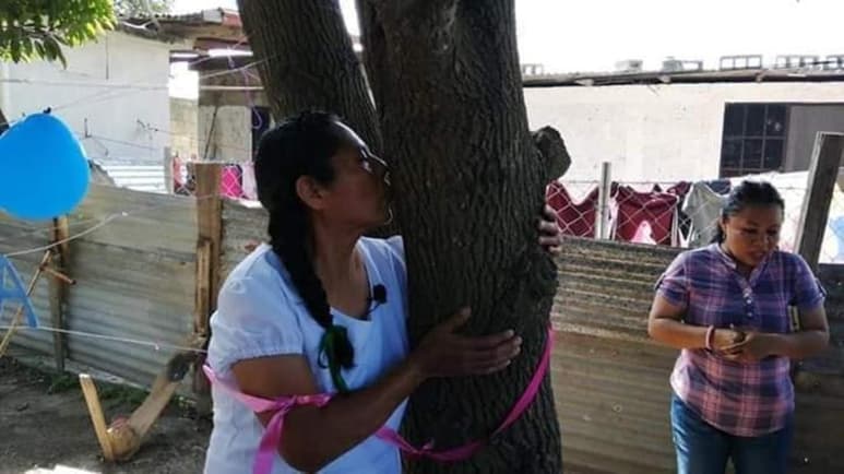La mujer expresó tener el deseo de casarse con el árbol desde hace varios años (MATERIAL COMPARTIDO POR ARCADIA NEWS EN FACEBOOK)