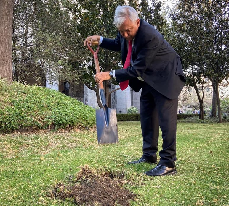 En su cuenta de Twitter, el titular del Ejecutivo federal subió una foto donde se le ve con una pala haciendo el orificio para poner el árbol tropical y en la que escribió que desea que el ejemplar 'se logre' en el jardín del histórico edificio. (ESPECIAL)