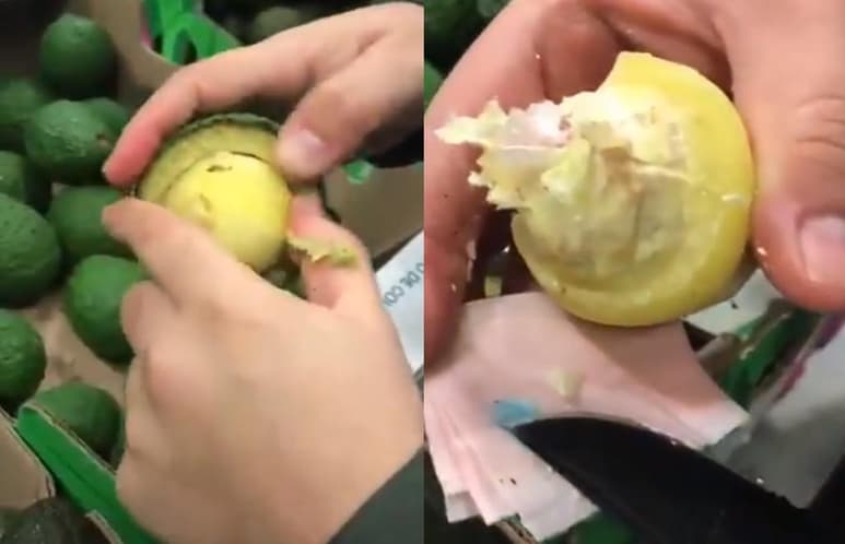 El aguacate albergaba una esfera de látex que contenía la droga (CAPTURA) 