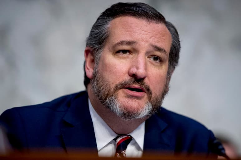 El senador por Texas, Ted Cruz. (ESPECIAL)