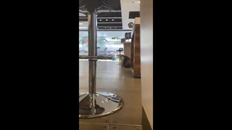 Usuarios de redes sociales reportan que se registró una balacera en las inmediaciones de la Torre Diana, que se ubica sobre Río Misisipi y Río Lerma, alcaldía Cuauhtémoc. (ESPECIAL)