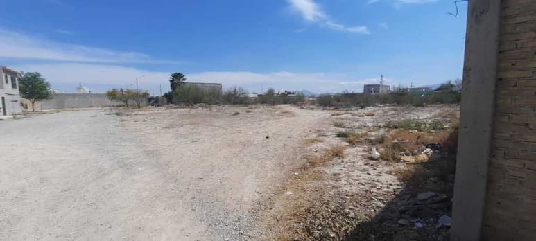 Una de las manifestantes relató que cuando compró su terreno se les prometieron áreas verdes. (EL SIGLO DE TORREÓN/VIRGINIA HERNÁNDEZ)