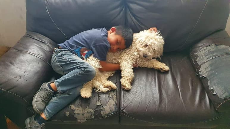 A través de Facebook, la tía del menor informó que habían encontrado a la mascota (CAPTURA)