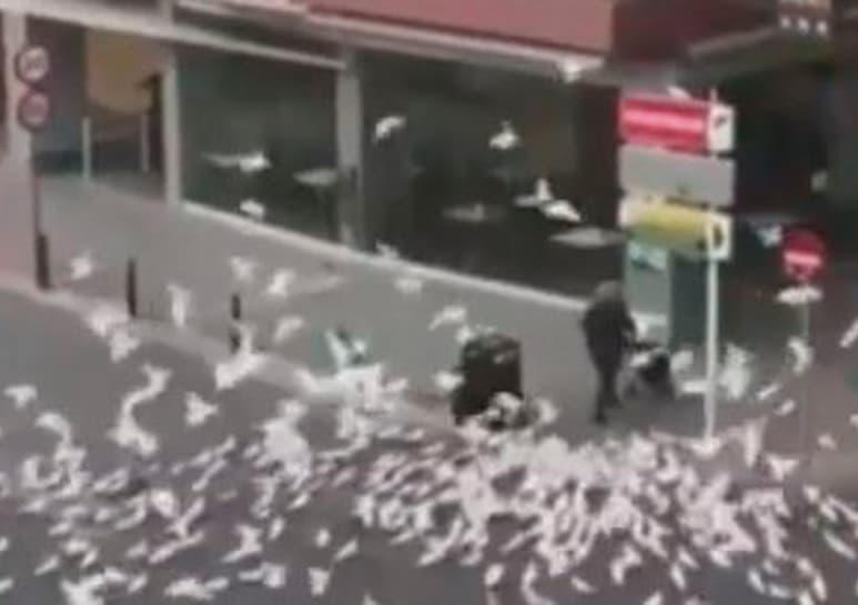 Video es compartido por internautas en Twittter. (CAPTURA)