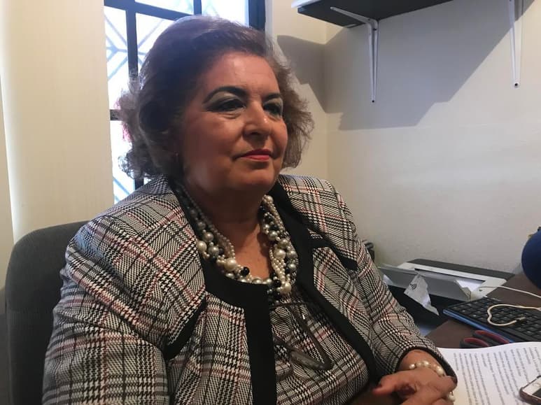 La congresista federal por Coahuila dijo que hicieron llegar el presidente de la República esta propuesta, que incluye crear un plan para evitar el desplome de la economía del país. (ARCHIVO)