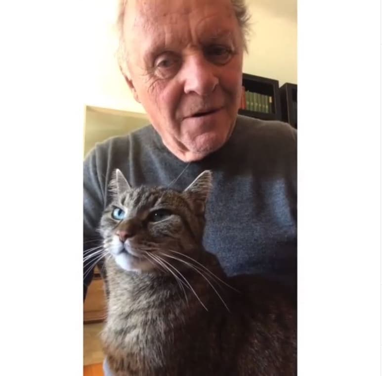 Desde su casa. Anthony Hopkins toca el piano para Niblo. (ESPECIAL)