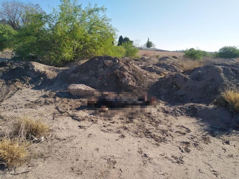 Localizan a joven sin vida y con huellas de violencia en baldío del sector norte de Torreón. (EL SIGLO DE TORREÓN)