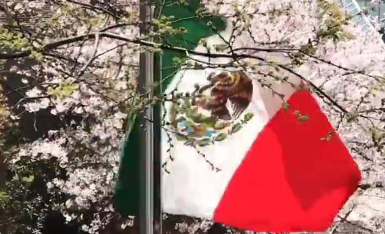 Material compartido por @EmbMexJapon en Twitter.