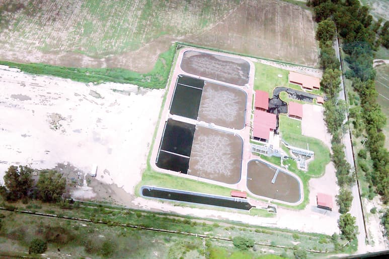 El estudio determinará qué se requiere para que todas las plantas operen adecuadamente. (EL SIGLO DE TORREÓN)