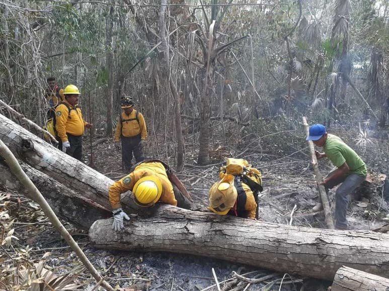 La Secretaría de Medio Ambiente y Recursos Naturales (Semarnat) y la Comisión Nacional Forestal (Conafor), informaron que al mediodía de hoy se registran 32 incendios forestales activos en 12 estados del país, con una afectación de 2 mil 72.7 hectáreas, y que ocho más han sido apagados. (TWITTER)