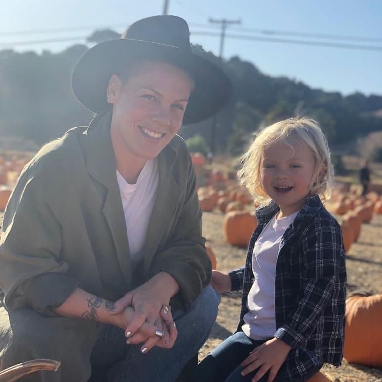 Recuperada. P!nk pide más accesibilidad a pruebas de detección, realiza donativos a hospitales y fondos de emergencia. Ella y su hijo dieron positivos al COVID-19, pero ya no lo padecen.
