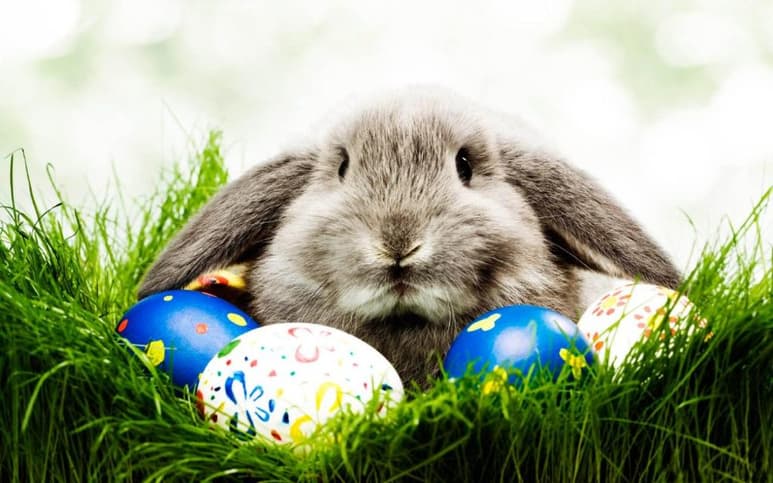 Un mensaje para mantener la calma durante la Pascua. (INTERNET)