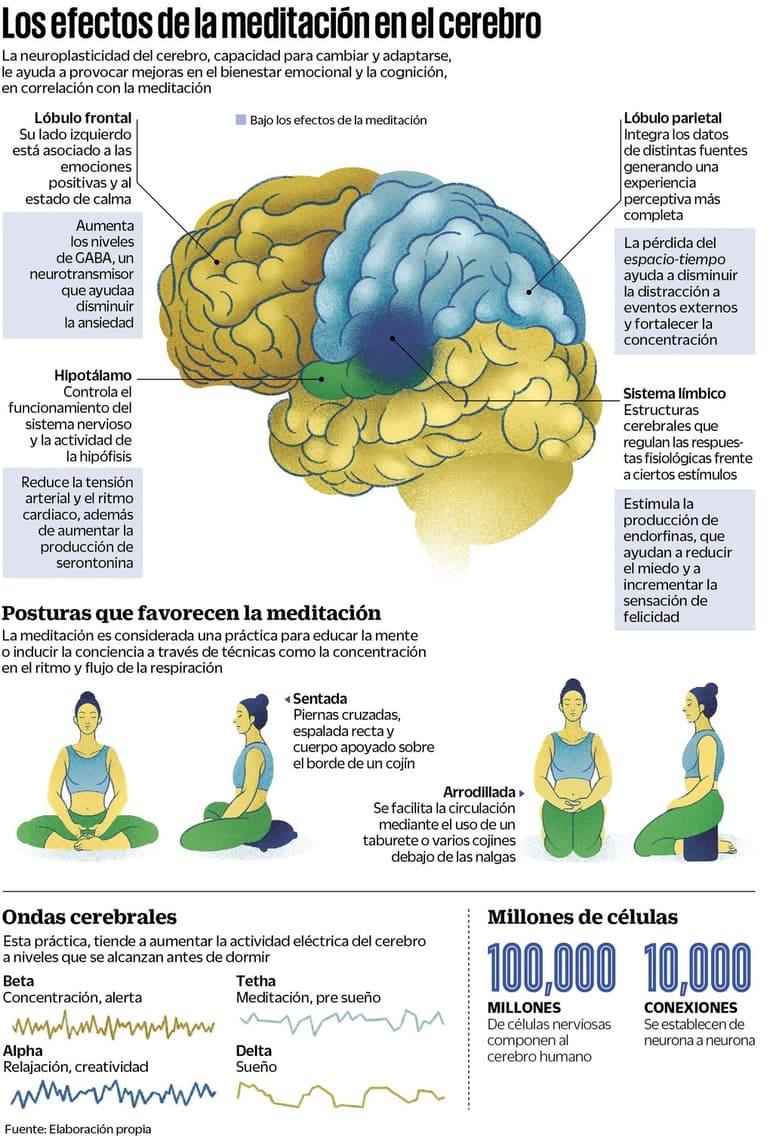 Los efectos de la meditación en el cerebro. (ARCHIVO)