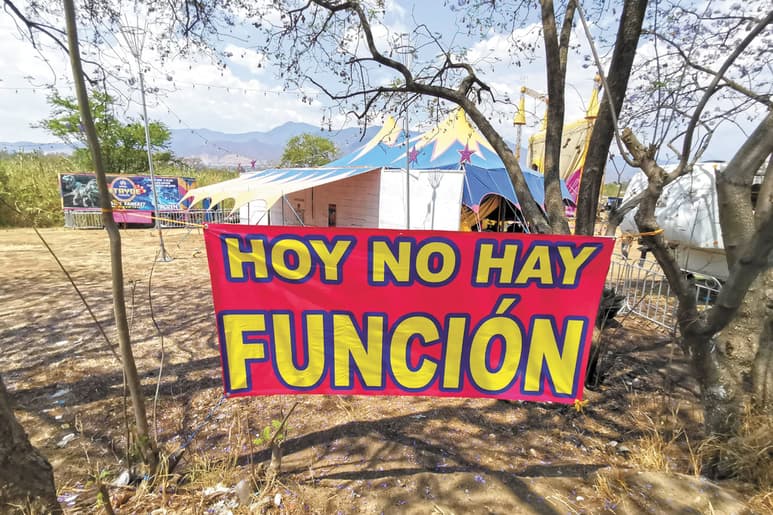 el universal