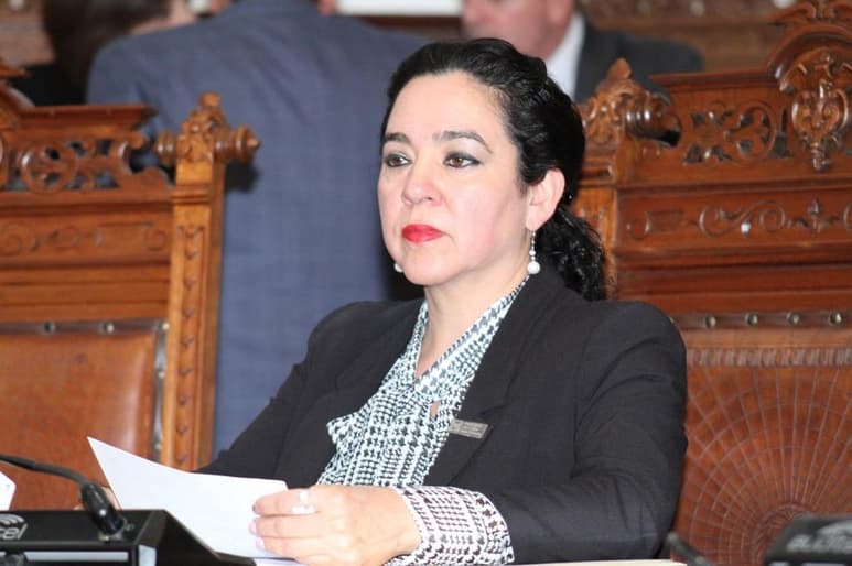 La Diputada Local de Monclova, Rosa Nilda González Noriega, pidió a la Fiscalía General del Estado y a la Alcaldesa Gladys Ayala Flores, investigar y sancionar las agresiones contra un médico en un filtro instalado en la entrada del municipio de San Buenaventura y posteriormente en su domicilio por elementos de la Policía Municipal. (SERGIO RODRÍGUEZ)