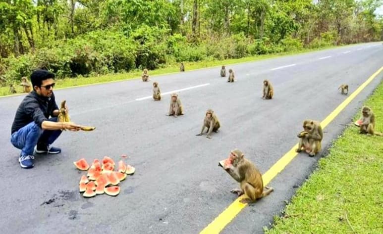 Una imagen interesante, tomando en cuenta la pandemia por el coronavirus. (INTERNET)