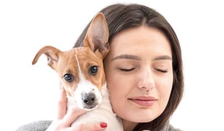 Una de las actividades un tanto restringida por el periodo de cuarentena es el paseo ‘mata energía’ de tu perro o gato.