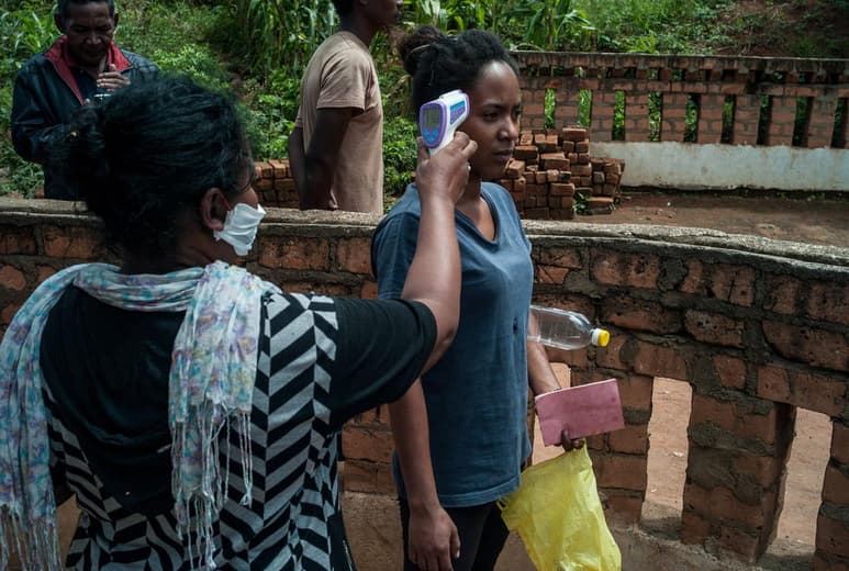 La Organización Mundial de la Salud (OMS) no rechazó el uso de la Artemisia, una planta medicinal que Madagascar está empleando y exportando como tratamiento de prevención y cura de la COVID-19. (ARCHIVO)