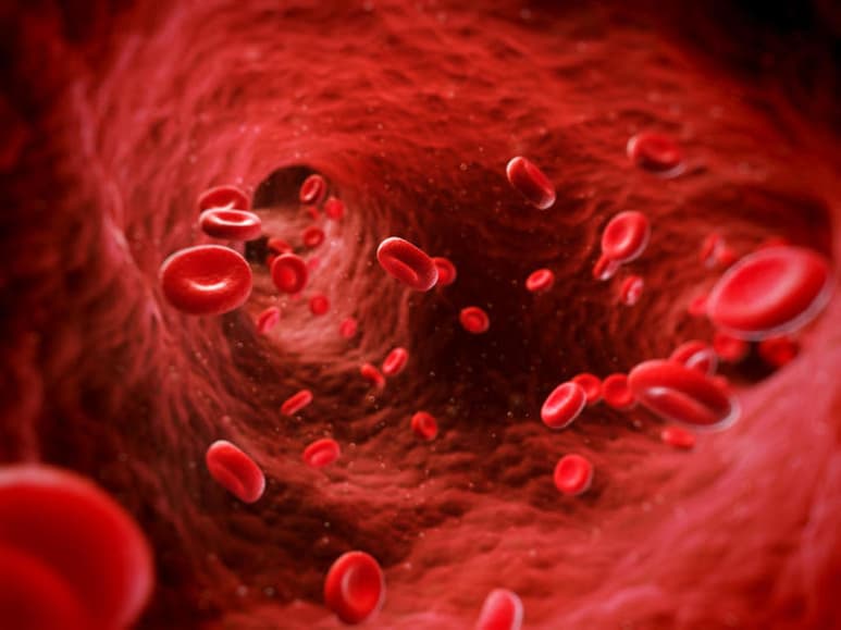 La trombocitemia es un trastorno en el que se produce un número excesivo de plaquetas, llevando a una coagulación anormal de la sangre o hemorragias. (ESPECIAL)