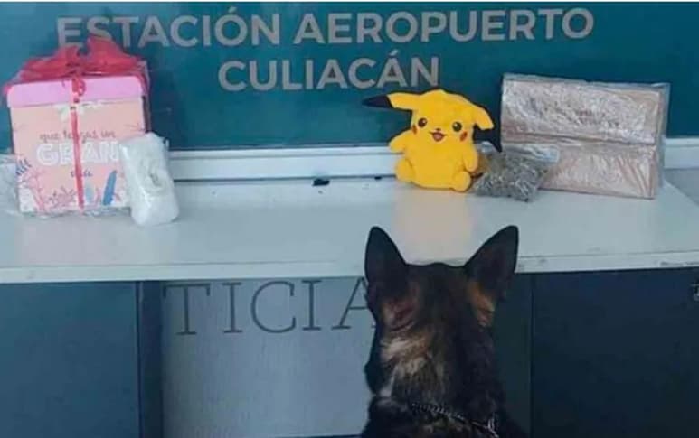 El peluche junto con la prenda de vestir de mujer, fueron decomisados por los elementos de la Guardia Nacional, tras ser detectados los narcóticos por los binomios caninos (ESPECIAL)