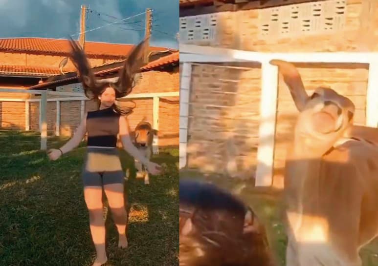 El video ha acumulado más de 1 millón de reproducciones. (CAPTURA)