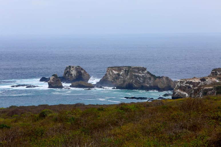 La dirección del Parque Nacional Galápagos realizará, por primera vez en la historia, un estudio a fin de permitir comparar el comportamiento de 34 zonas turísticas en las áreas protegidas con y sin visitantes. (ARCHIVO)