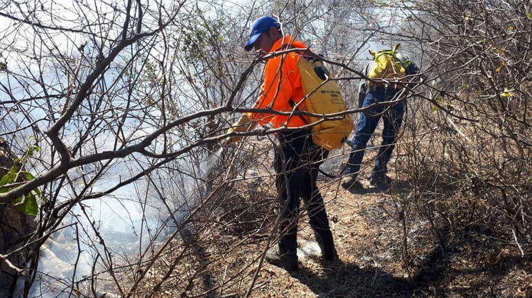 Alrededor de 120 brigadistas subieron a los cerros de Tepoztlán en el poblado de Santo Domingo Ocotitlán, para combatir y liquidar el incendio forestal que se mantiene vivo en el paraje 'Oztopulco'. (ARCHIVO)