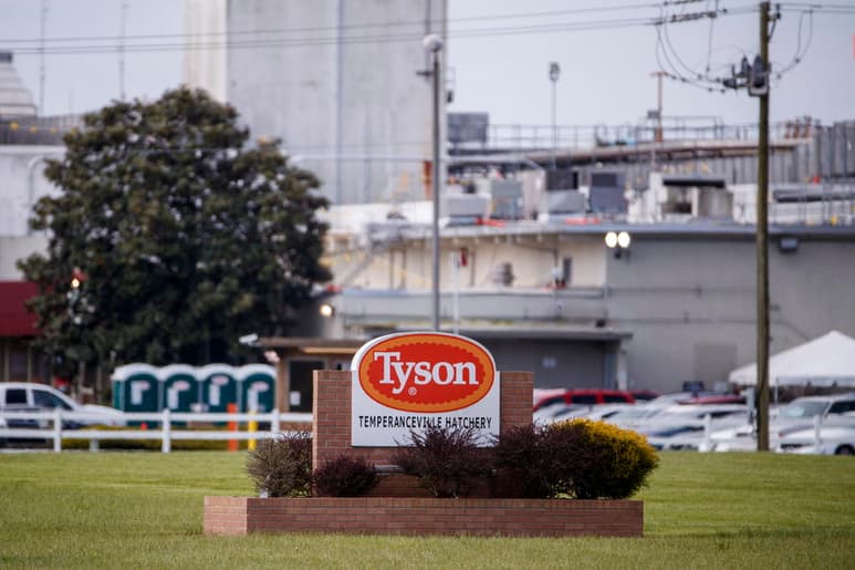 La planta de procesamiento de pollos de la compañía Tyson Foods en Wilkesboro, Carolina del Norte (EUA), registró 570 nuevos casos de COVID-19 entre sus trabajadores. (ARCHIVO)