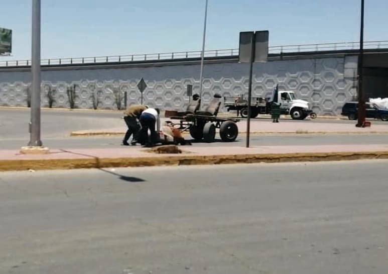 Se desconoce es estado del equino. (CAPTURA) 
