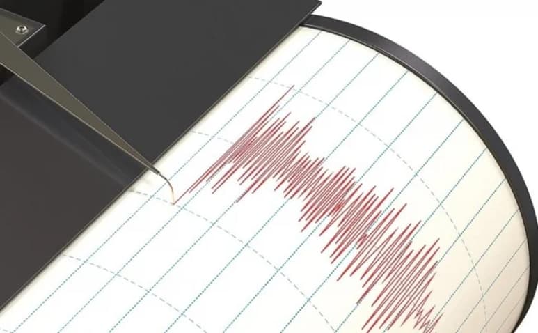 De acuerdo con el reporte del Servicio Sismológico Nacional (SMN) ocurrió a las 03:46 horas -tiempo del centro-, en el mar, a una profundidad de 10 kilómetros.
(ARCHIVO)