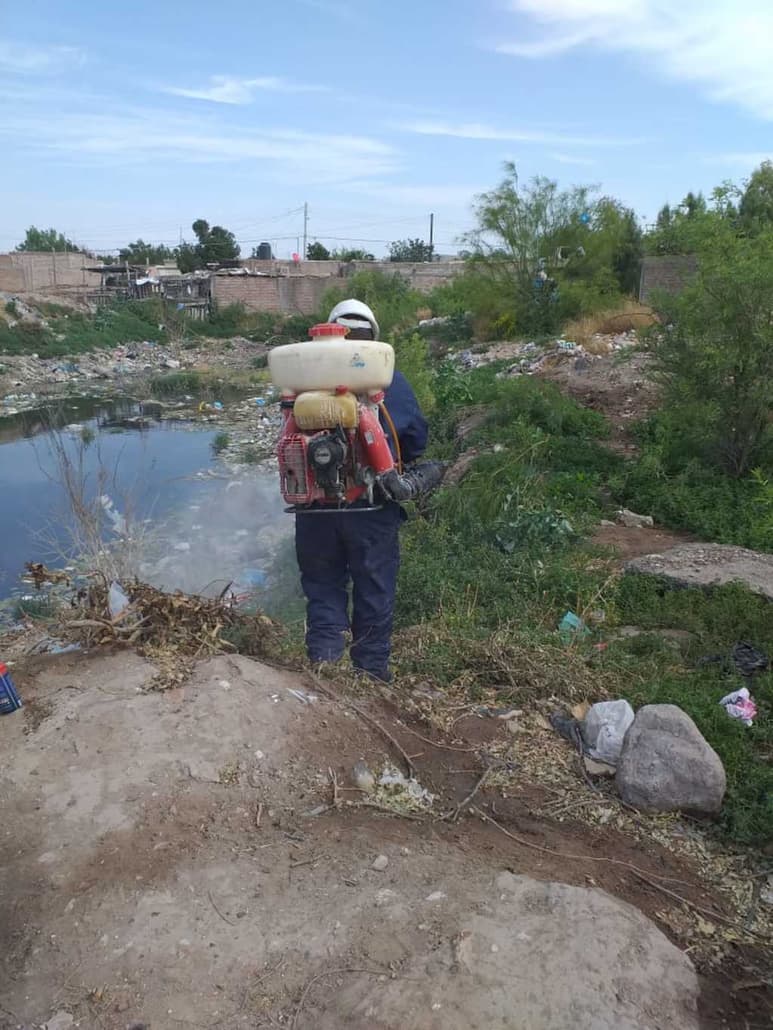La Jurisdicción Sanitaria 7 busca mantener libre de dengue a los municipios de Madero y San Pedro.