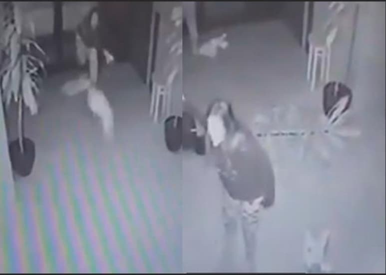 El video se compartió a través de las redes sociales. (CAPTURA)
