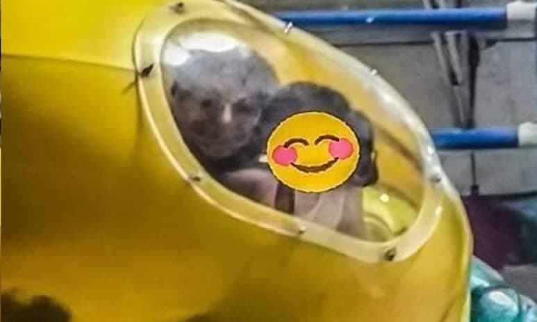 Según la descripción que acompaña a la imagen, el 'rostro' que aparece pertenece a 'Beto', el 'amigo imaginario' de la niña de la foto (REDES SOCIALES)