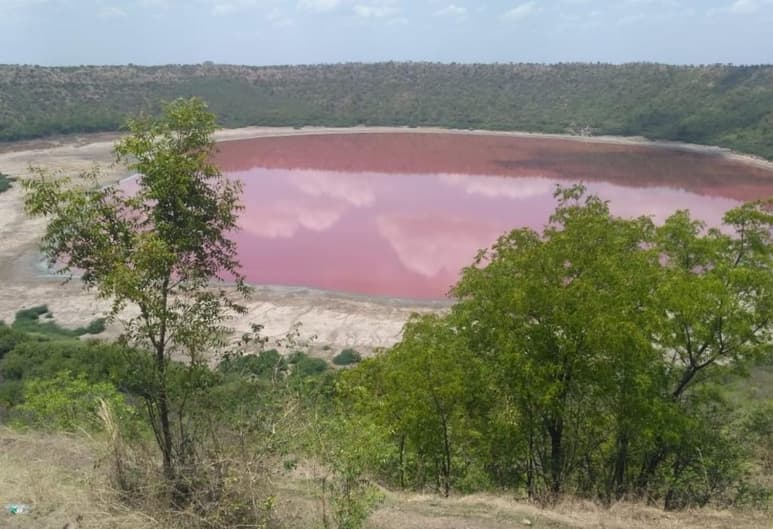 La tonalidad rosada que ha tomado el agua en el lago ubicado en la India, desconcierta a pobladores y especialistas (REDES SOCIALES)
