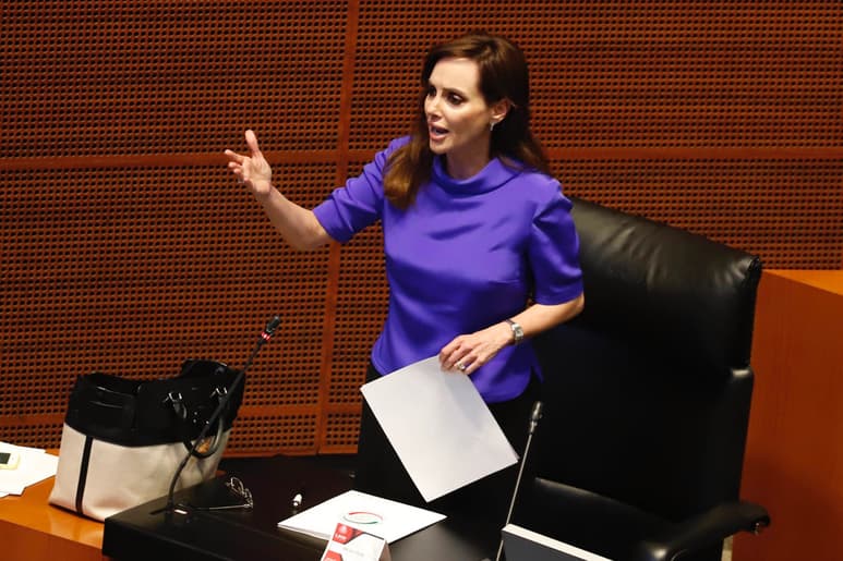En relación con el caso Paulette, la senadora señaló que ella hizo las denuncias correspondientes.